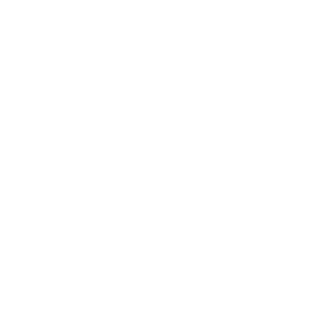 Flux 2 Pro logo